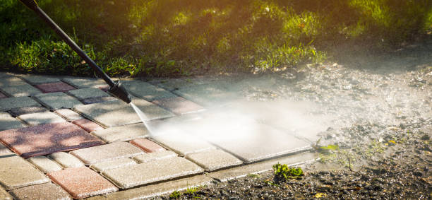 Best Soft Washing for Delicate Surfaces in Valley Stream, NY
